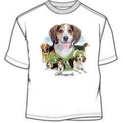 Men's T-Shirts