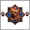 Yorkshire with red bow dog breed tees