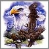 Collage American Bald Eagle tee shirt