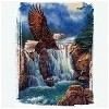 Waterfall and soaring Bald Eagle tees