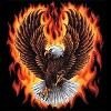 Flame and fire eagle tee shirt