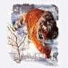 Talking snow bengal tees