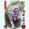 Asian white tiger with chinese writing tee shirt