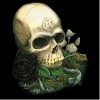Alchemy black rose of death with skull tee shirt