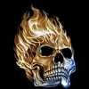 Skull Flaming Metallic Tee