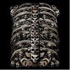 Bone Skull Ribcage Tees
