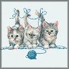 Kitten T-Shirts