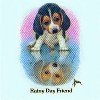 Puppy T-Shirts