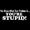 You're Stupid One Liner Tee Shirt