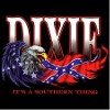 Dixie Bald Eagle Confederate Flag Redneck T-Shirts