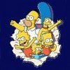 The Simpsons Homer And Family Splash Tee Shirt