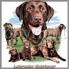 Chocolate Labrador Retriever T-Shirts
