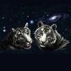White Tiger Tee Shirt
