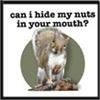 Hide My Nuts Squirrel Tee