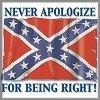 Confederate Flag Never Apologize For Being Right Tees