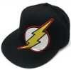 Flash Logo