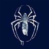 Radioactive Spider Logo Spiderman Shirt
