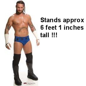 CM Punk Cardboard Cutout - CM P...