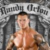 Randy Orton Tee