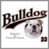 Bulldog t-shirts