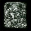 Black and White Ink Grizzly Bear T-Shirt