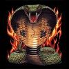 Flame King Cobra Snake T-Shirt