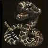 Rattlesnake T-Shirt