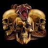 Striking rattlesnake with three skulls evil tee shirt