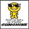 Novelty Aren't We Just A Ray Of Fuckin' Sunshine Tees