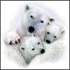 Mother's Love Polar Bear 