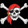 T-Shirt - Pirate Skull